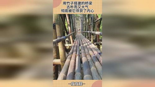 用竹子搭建的橋梁,古樸而又大氣,徹底被它俘獲了內(nèi)心